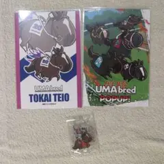 UMAbred　ウーマブレッド　トウカイテイオー アクスタ　シークレット