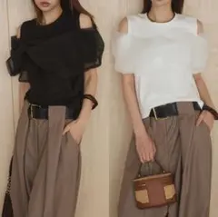 2点SET ESICA エシカ　同型　シアーレイヤーデザインカットソー