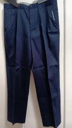 Item thumbnail for item b727010d-e6e5-4514-a2f4-15aa1fbd55d0