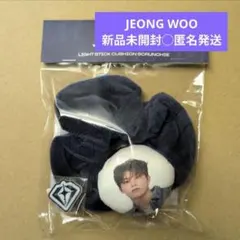 ジョンウ ペンライト シュシュ TREASURE トレジャー ソウルコン