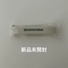 SEVENTEEN セブチ スングァン カプセルトイ ラバーバンド 会場限定