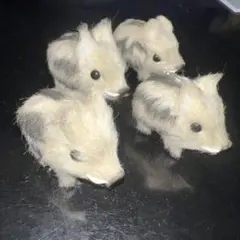 Item thumbnail for item 65a1defc-1d18-4b1c-a662-1a5cce6c1bbd