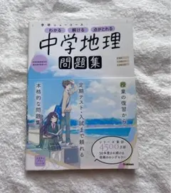 ごましお様 リクエスト 2点 まとめ商品