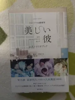 美しい彼公式シナリオブック