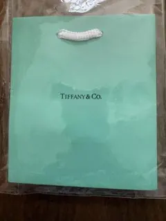 Tiffany & Co. ショップ袋 ショッパーのサムネイル