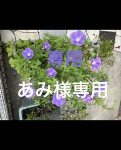 クラフトバンド　チャーム　ストラップ　花結び