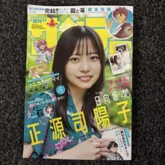 週刊少年サンデーNo.22・23 5月 13・20日号 - メルカリ