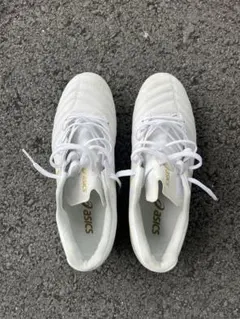 Item thumbnail for item 6fed3ebf-f023-4ac5-88b3-eafa52dfc084