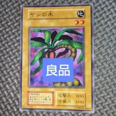 遊戯王 ヤシの木 c41 - メルカリ