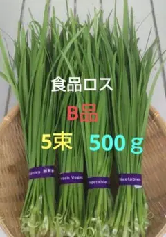★⑦550ハウスにら　美品　B品　業務用にも　食品ロス　5束　500g　ニラのサムネイル