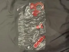 TWICE LOVELYSのアクリルカラビナフロッキーマスコット