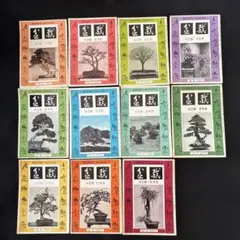 貴重 盆栽 BONSAI MAGAZINE 42巻 11冊セット 貴重 昭和11年〜盆栽 BONSAI MAGAZINE 10冊セット研究資料専門 - メルカリ