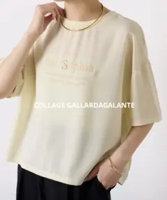 美品COLLAGE GALLARDAGALANTE 刺繍口ゴジョーゼットTシャツ