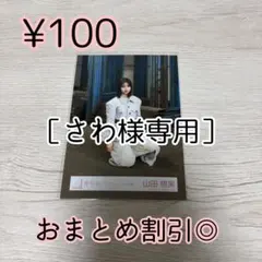 さわ様 リクエスト 2点 まとめ商品