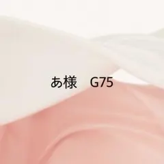 あ様　専用