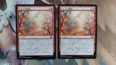 MTG ドラゴンの接近 日本語 2枚セット