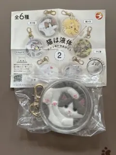 猫は液体 フロッキーマスコット2 キジ白