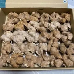 tina0619様 リクエスト 2点 まとめ商品