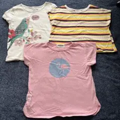 Item thumbnail for item daeb7a51-1be7-4196-8e12-5b7abe3b45f4