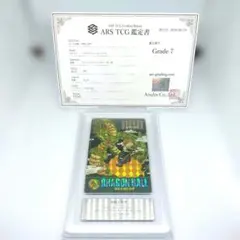 ARS鑑定孫悟飯 少年期フュージョンワールド Grade10+全世界21枚