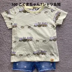 100 こぐまちゃんTシャツ＆花柄短パン　セット