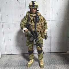 1/6 12インチ 特殊部隊カスタムフィギュア CS79 1/6 12インチ 特殊部隊カスタムフィギュア CS79 - メルカリ
