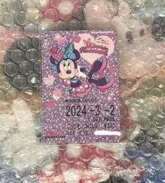 ディズニー　リゾートライン　フリーきっぷ　ミニー　パルパルーザ