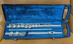 2025年最新】ニッカン フルートの人気アイテム - メルカリ