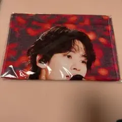 dominATE リノ ライブフォトタオル StrayKids スキズ