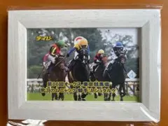 ダンスパートナー　武豊　オークス　競走馬　写真　パネル　額縁入り ダンスパートナー号&武豊 オークス（GⅠ）優勝記念 生写真パネル