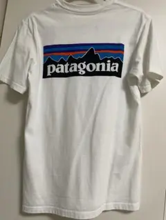 patagonia Tシャツ 白 バックプリント