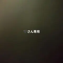 ❤︎さん専用
