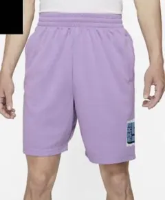 ナイキ　ショートパンツ　ナイキ SB Dri-FIT