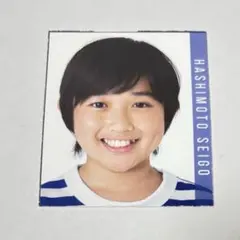 Myojo 明星 デタカ 厚紙 データカード カード 橋本誠吾