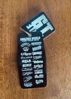 【現状品】EXILE 19 TOUR 2015 キーホルダープレート