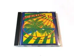 BURNING UP　Trojan ルーツレゲエ・コンピ