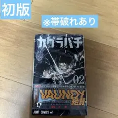 新品未開封】カグラバチ 11巻 特典付き初版帯付き 2冊セット - メルカリ