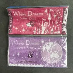 東京ディズニーリゾート タオル