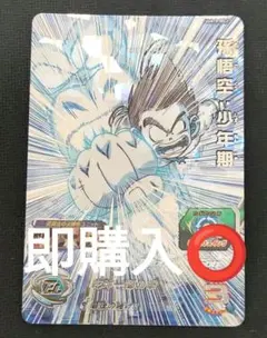 2026年最新】ドラゴンボールヒーローズ孫悟空少年期の人気アイテム