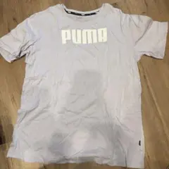 PUMA 薄紫 半袖Tシャツ