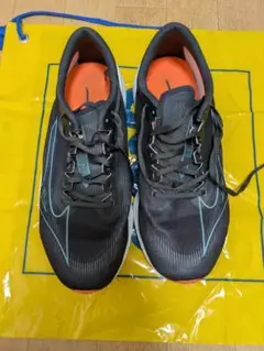 MIZUNO　ウェーブリベリオンフラッシュ　ワイド　25.5cm