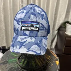 ブルー　カモフラージュ　 patagonia パタゴニア　トラッカー