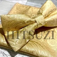 ◆蝶ネクタイ　チーフ　ゴールド　金　結婚式新郎　二次会　メンズお洒落　K5i