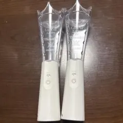 ARASHI We are ARASHI ペンライト 2本セット