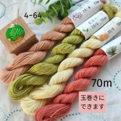 Item thumbnail for item 76b81647-23a7-4446-a1e7-9fd7277158a7