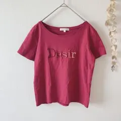 rienda リエンダ　Tシャツ　レディース　トップス　 刺繍　半袖　ピンクのサムネイル
