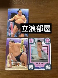 Item thumbnail for item b2efd1fc-b346-4c06-b379-6c0624bc5394