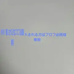 MIMI！購入される方はプロフ必読！様専用