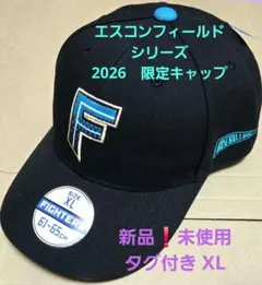 2026年最新】北海道日本ハムファイターズ リーグ名/大会名：パ・リーグ