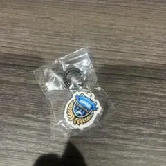 Jリーグ めじるしアクリル 川崎フロンターレ